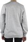 Poiste dressipluus Kappa Kappa Sertum Junior Sweatshirt 703797J154101M, hall цена и информация | Poiste kampsunid, vestid ja jakid | kaup24.ee