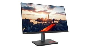 Lenovo ThinkVision P24h-30 цена и информация | Мониторы | kaup24.ee