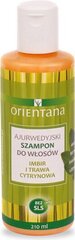 Ayurveda šampoon Orientana ingveri ja sidrunheinaga, 210 ml hind ja info | Šampoonid | kaup24.ee