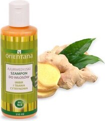 Ayurveda šampoon Orientana ingveri ja sidrunheinaga, 210 ml цена и информация | Шампуни | kaup24.ee