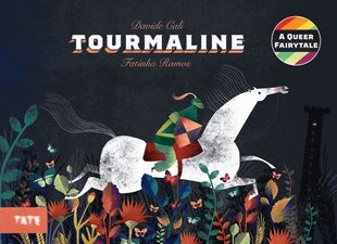 Tourmaline: A Queer Fairytale hind ja info | Väikelaste raamatud | kaup24.ee