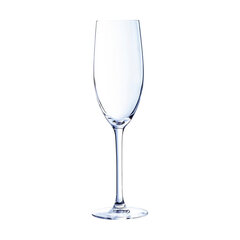 Šampanja klaas Chef & Sommelier Läbipaistev Klaas (24 cl) hind ja info | Klaasid, tassid ja kannud | kaup24.ee