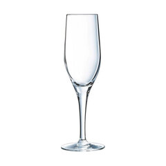 Šampanja klaas Chef & Sommelier Läbipaistev Klaas (19 cl) цена и информация | Стаканы, фужеры, кувшины | kaup24.ee