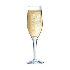 Šampanja klaas Chef & Sommelier Läbipaistev Klaas (19 cl) hind ja info | Klaasid, tassid ja kannud | kaup24.ee