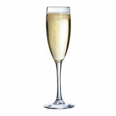 Šampanja klaas Arcoroc Vina Läbipaistev Klaas 6 Ühikut (19 cl) hind ja info | Klaasid, tassid ja kannud | kaup24.ee