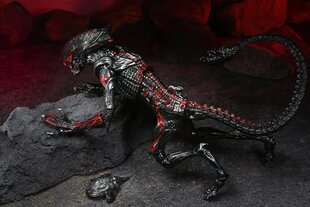 Night Cougar Alien Puma Kenner Tribute цена и информация | Атрибутика для игроков | kaup24.ee