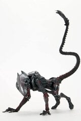 Night Cougar Alien Puma Kenner Tribute цена и информация | Атрибутика для игроков | kaup24.ee