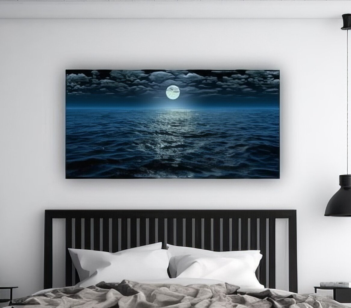 Maaling Ocean in the Night цена и информация | Seinapildid | kaup24.ee