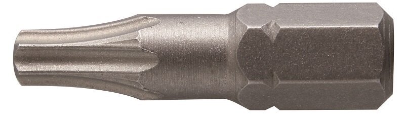 T25 Torx 1/4" otsik 2tk. 25mm 1s364 цена и информация | Käsitööriistad | kaup24.ee