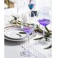 Värvilised, vikerkaare peegeldusega kaldus klaasid, 2 tk hind ja info | Klaasid, tassid ja kannud | kaup24.ee