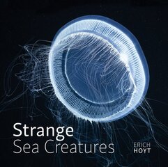 Strange Sea Creatures цена и информация | Книги о питании и здоровом образе жизни | kaup24.ee