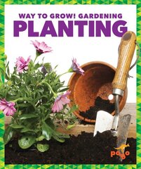 Planting hind ja info | Noortekirjandus | kaup24.ee