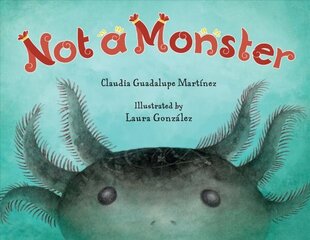 Not A Monster hind ja info | Väikelaste raamatud | kaup24.ee