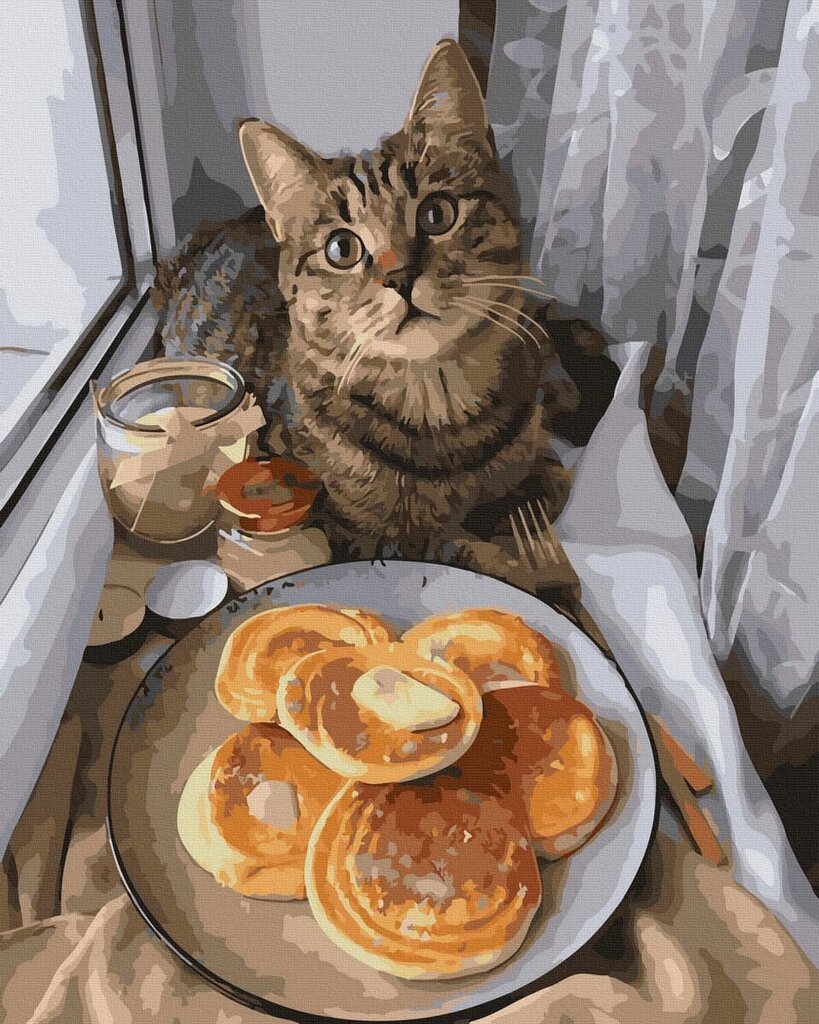 Maalimine numbrite järgi - maalimise komplekt 40x50 cm. "Breakfast for a cat" hind ja info | Maalid numbri järgi | kaup24.ee