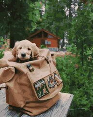 Maalimine numbrite järgi - maalimise komplekt 40x50 cm. "Puppy in a backpack" цена и информация | Живопись по номерам | kaup24.ee