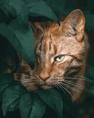 Картина по номерам Дикая кошка в листьях Oh Art!, 40x50 см   цена и информация | Живопись по номерам | kaup24.ee