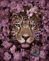 Maalimine numbrite järgi - maalimise komplekt 40x50 cm. "Leopard in Flowers" hind ja info | Maalid numbri järgi | kaup24.ee