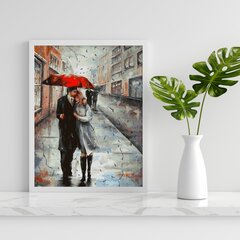 Maalimine numbrite järgi - maalimise komplekt 40x50 cm. "Two Under an Umbrella" hind ja info | Maalid numbri järgi | kaup24.ee