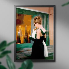 Maalimine numbrite järgi - maalimise komplekt 40x50 cm. "Lady in Front of the Store" hind ja info | Maalid numbri järgi | kaup24.ee