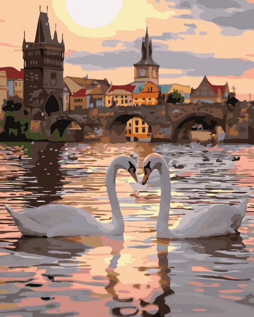 Maalimine numbrite järgi - maalimise komplekt 40x50 cm. "Two swans" цена и информация | Maalid numbri järgi | kaup24.ee