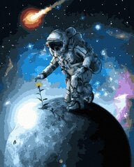 Maalimine numbrite järgi - maalimise komplekt 40x50 cm. "An astronaut on the planet" цена и информация | Живопись по номерам | kaup24.ee