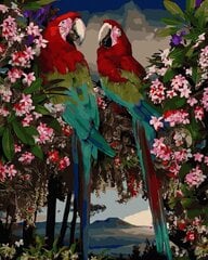 Maalimine numbrite järgi - maalimise komplekt 40x50 cm. "Macaw Parrot" hind ja info | Maalid numbri järgi | kaup24.ee