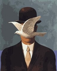 Maalimine numbrite järgi - maalimise komplekt 40x50 cm. "Man and Pigeon" hind ja info | Maalid numbri järgi | kaup24.ee