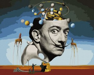 Maalimine numbrite järgi - maalimise komplekt 40x50 cm. "The world of Salvador Dali" hind ja info | Maalid numbri järgi | kaup24.ee