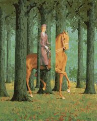 Maalimine numbrite järgi - maalimise komplekt 40x50 cm. "A rider on a horse" hind ja info | Maalid numbri järgi | kaup24.ee