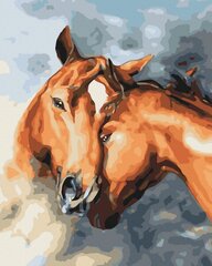 Maalimine numbrite järgi - maalimise komplekt 40x50 cm. "Horse sensitivity" hind ja info | Maalid numbri järgi | kaup24.ee