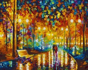 Maalimine numbrite järgi - maalimise komplekt 40x50 cm. "Evening lights" цена и информация | Живопись по номерам | kaup24.ee