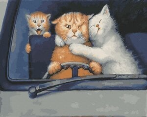 Maalimine numbrite järgi - maalimise komplekt 40x50 cm. "Cat in the car" цена и информация | Живопись по номерам | kaup24.ee