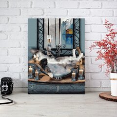 Maalimine numbrite järgi - maalimise komplekt 40x50 cm. "Cat in the bath" цена и информация | Живопись по номерам | kaup24.ee