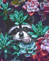 Maalimine numbrite järgi - maalimise komplekt 40x50 cm. "Peeping Raccoon" hind ja info | Maalid numbri järgi | kaup24.ee