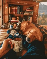 Maalimine numbrite järgi - maalimise komplekt 40x50 cm. "Coffee and a dog" цена и информация | Живопись по номерам | kaup24.ee