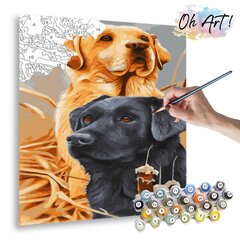 Maalimine numbrite järgi - maalimise komplekt 40x50 cm. "A pair of labradors" hind ja info | Maalid numbri järgi | kaup24.ee