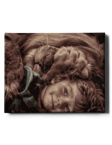 Maalimine numbrite järgi - maalimise komplekt 40x50 cm. "The Lion and the Boy" цена и информация | Maalid numbri järgi | kaup24.ee