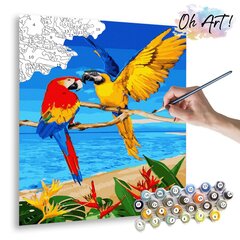 Maalimine numbrite järgi - maalimise komplekt 40x50 cm. "Parrots on the Beach" цена и информация | Живопись по номерам | kaup24.ee