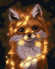 Maalimine numbrite järgi - maalimise komplekt 40x50 cm. "Fox with Lights" hind ja info | Maalid numbri järgi | kaup24.ee