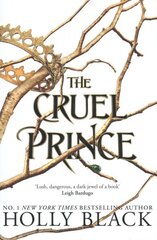 The Cruel Prince hind ja info | Noortekirjandus | kaup24.ee