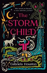 Storm Child hind ja info | Noortekirjandus | kaup24.ee