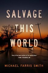 Salvage This World цена и информация | Фантастика, фэнтези | kaup24.ee