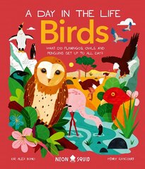 Birds (A Day in the Life): What Do Flamingos, Owls, and Penguins Get Up To All Day? hind ja info | Noortekirjandus | kaup24.ee