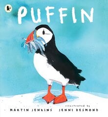 Puffin hind ja info | Noortekirjandus | kaup24.ee