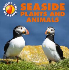 Beside the Seaside: Seaside Plants and Animals Illustrated edition hind ja info | Noortekirjandus | kaup24.ee