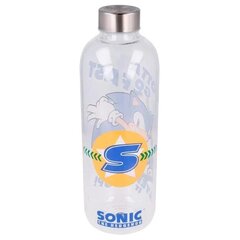 Стеклянная бутылка «Ёжик Соник» 1030мл цена и информация | Фляги для воды | kaup24.ee