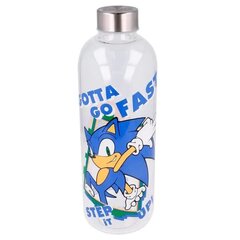 Sonic the Hedgehog klaaspudel 1030ml hind ja info | Joogipudelid | kaup24.ee