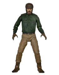 Universal Monsters Ultimate The Wolf Man hind ja info | Fännitooted mänguritele | kaup24.ee