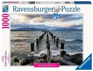 2D Puzzle 1000 Teile Puerto Natales, Chile hind ja info | Pusled | kaup24.ee