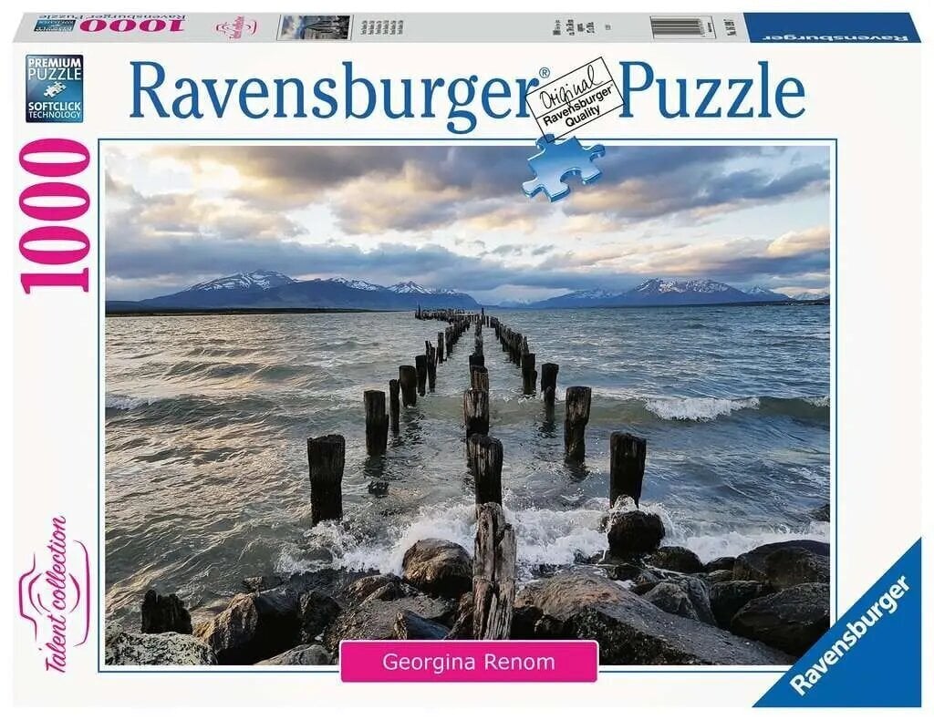 2D Puzzle 1000 Teile Puerto Natales, Chile цена и информация | Pusled | kaup24.ee